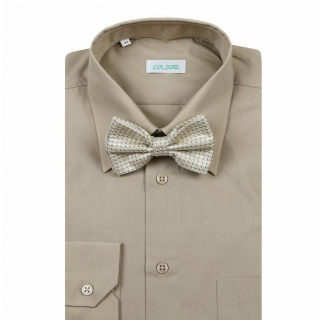 Elegantná pánska košeľa COLDOR Klasik dlhý rukáv béžová